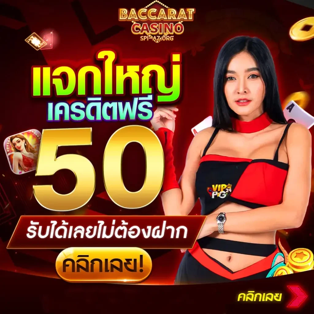 วิธีเล่น บาคาร่า